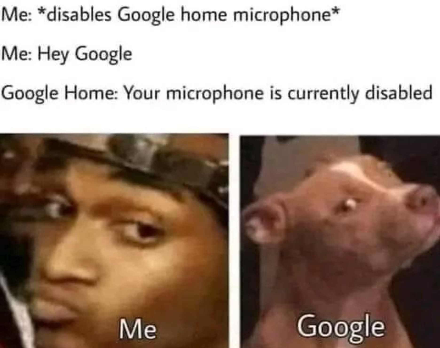 doubt funny memes - Me disables Google home microphone Me Hey Google Google Home Your microphone is currently disabled Me Google